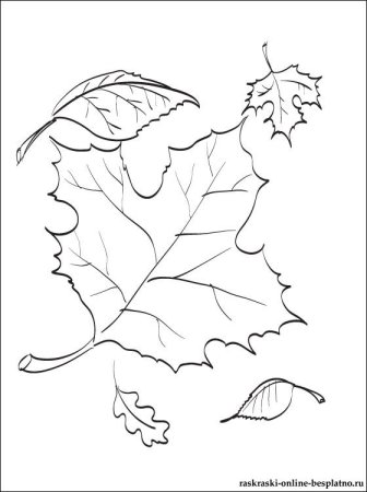 Осенний листопад раскраска для детей