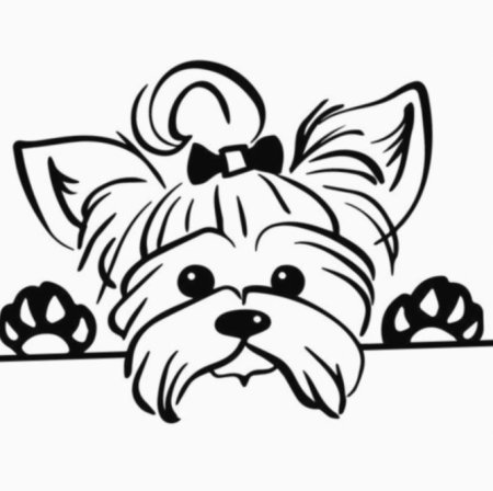 Разукрашка Йоркширский терьер