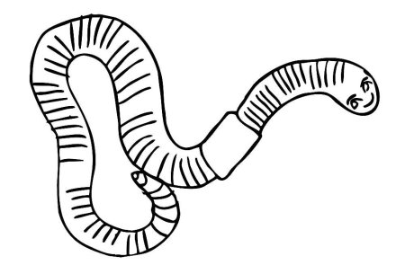 Червяк раскраска