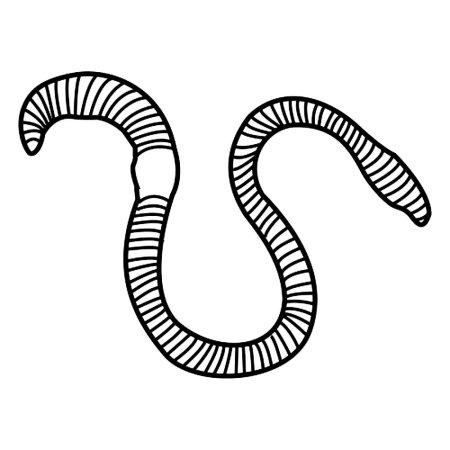 Червяк раскраска