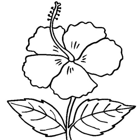 Аленький цветок раскраска