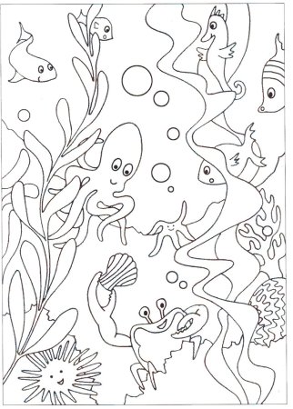 Раскраска морские обитатели