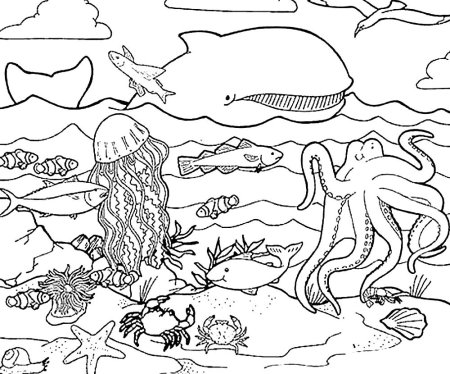 Морское дно раскраска для детей