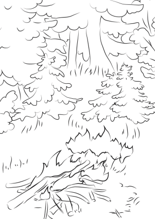 В лесу. Раскраска