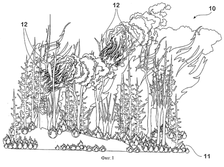 Лесной пожар раскраска