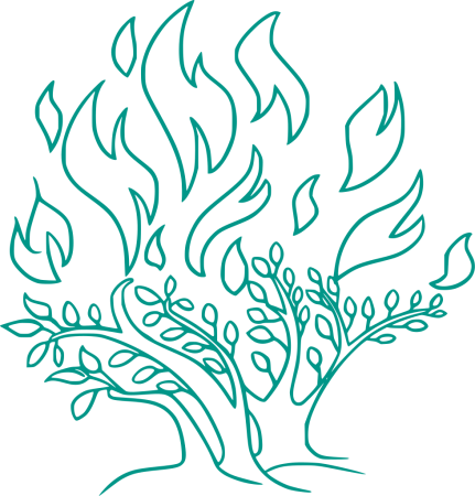 Раскраска пожар в лесу для детей