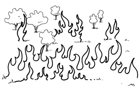 Пожар в лесу карандашом