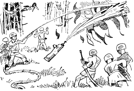 Лесной пожар раскраска