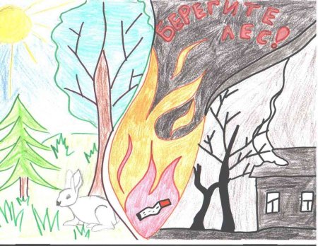 Раскраска на тему Лесные пожары