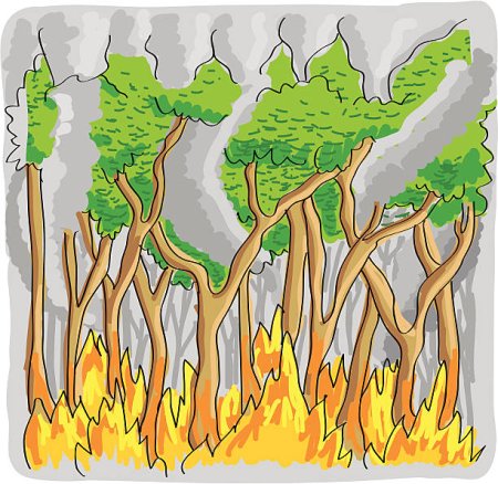 Лесной пожар раскраска для детей