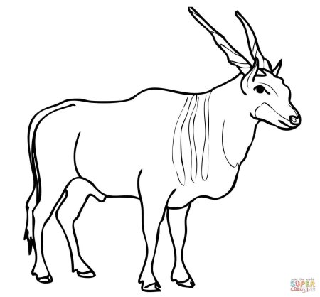 Сайгак раскраска для детей