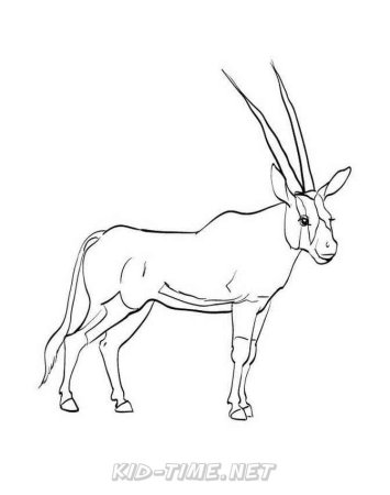 Раскраска Бегущая антилопа