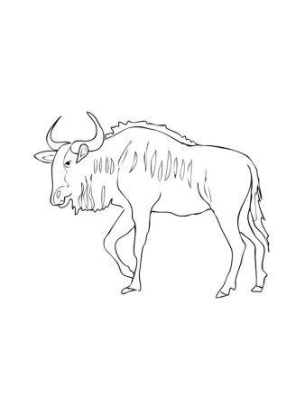 Антилопа раскраска для детей