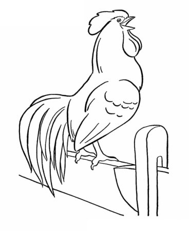 Петух раскраска