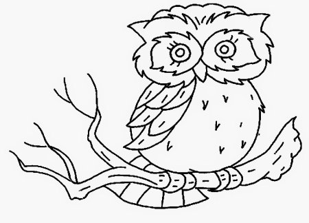 Вытынанка Сова на ветке