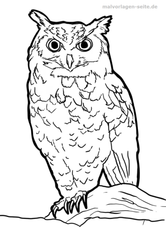 Силуэт Совы для раскрашивания