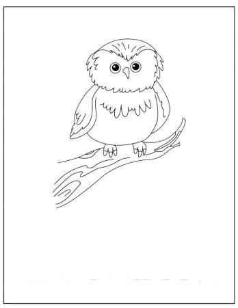 Вытынанки Совушки на ветке