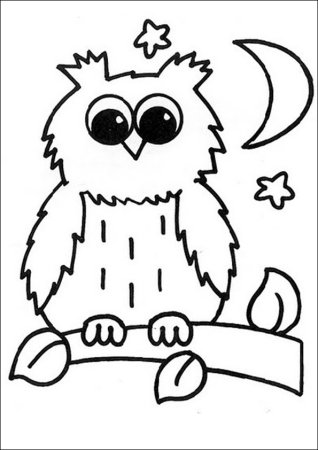 Сова разукрашка для детей
