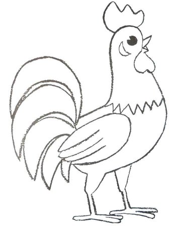 Петух раскраска