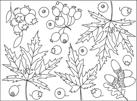 Раскраска Золотая осень