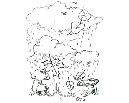 Осенний пейзаж раскраска