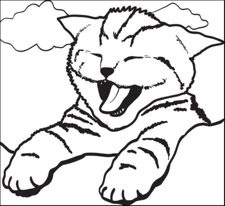Кошки. Раскраска