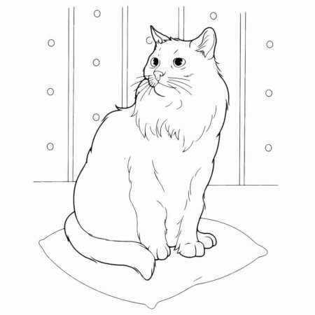 Раскраска для детей 3 лет кошечка