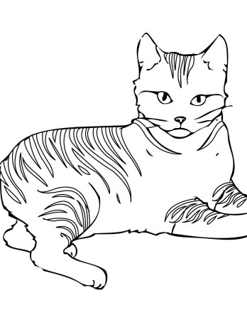 Рыжий кот раскраска