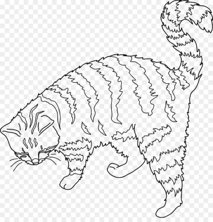 Кошка раскраска реалистичная