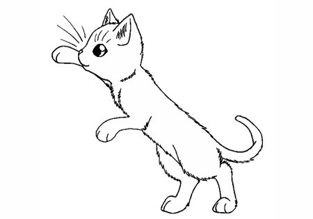 Котик на коврике раскраска