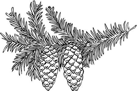 Новогодняя ветка