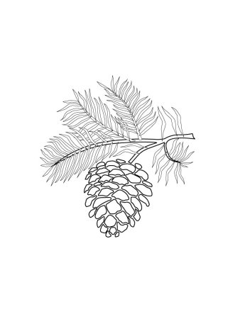 Ветка Еловая