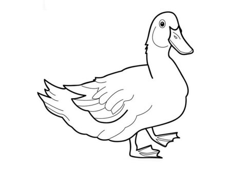 Утка раскраска