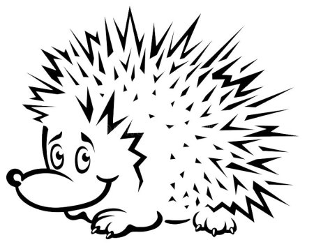 Картинка Ёжика для детей раскраска