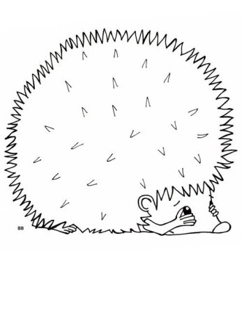 Ёжик раскраска для детей