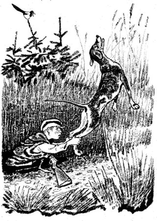 Рачев иллюстратор кладовая солнца