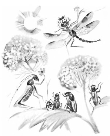 Муравей раскраска