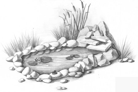 Пруд карандашом