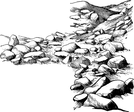 Камушки в графике