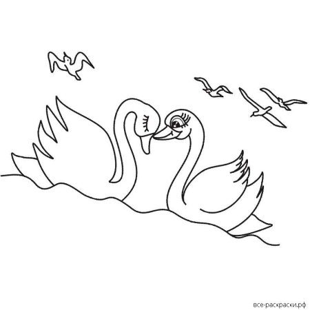 Раскраска влюбленные лебеди