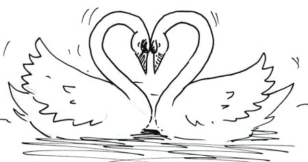 Рисунок лебедя для срисовки