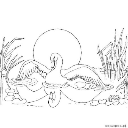 Ганс христиан Андерсен Гадкий утенок раскраска
