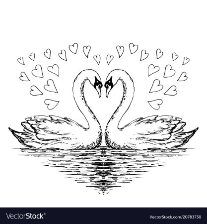 Лебедь раскраска