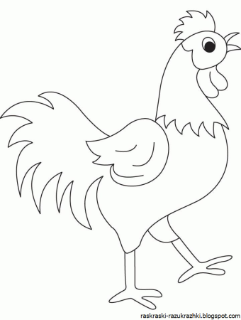 Петух раскраска