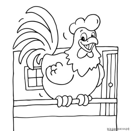 Петух раскраска для детей