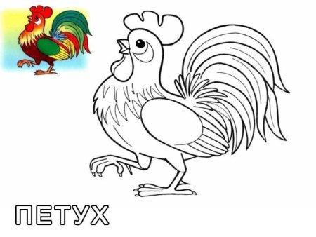 Петушок. Раскраска