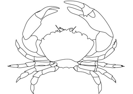 Краб раскраска