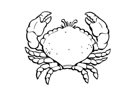 Раскраска морской краб