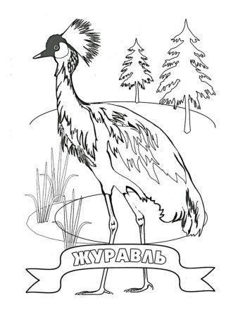 Журавль раскраска