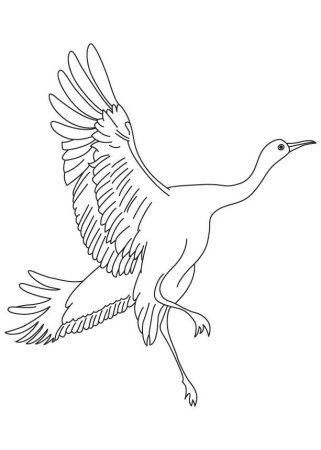 Журавль раскраска